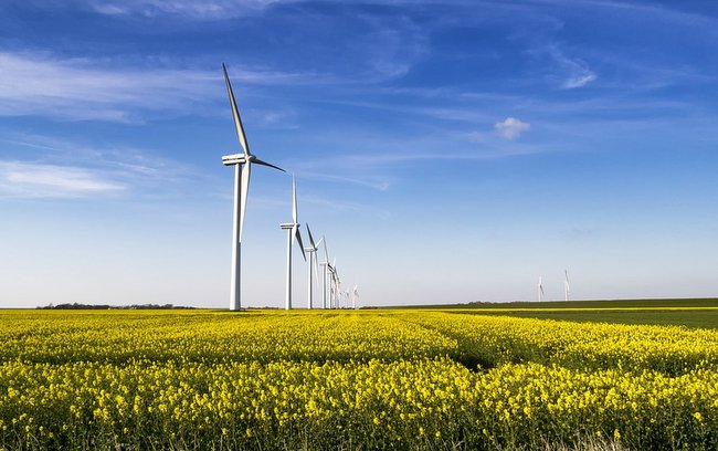 Polski rząd wprowadził nowe przepisy, które znacznie ograniczają możliwości stawiania turbin wiatrowych. Foto: Pixabay/CC0 