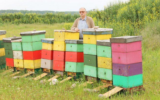 - W tym roku było uderzenie ciepła na wiosnę, co pobudziło pszczoły, które zaczęły wylatywać z uli - mówił strzeliński pszczelarz Andrzej Gryglak