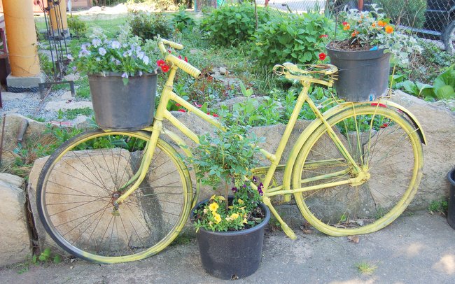 Również na rowerach można umieścić donice z kwiatami