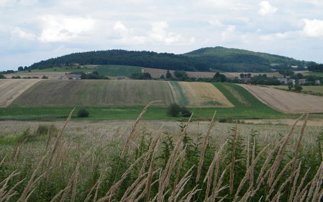 Wzgórze Gromnik. Foto: wiki