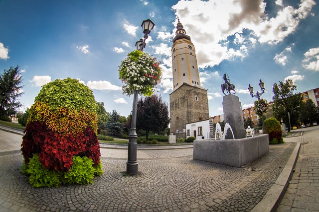Gmina Strzelin jest uczestnikiem plebiscytu Terra Flower Power „Najpiękniej Ukwiecone Miasto w Polsce” (fot. UMiG Strzelin)