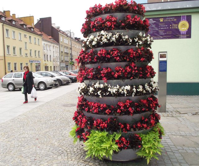 W ubiegłym tygodniu pracownicy CUKiT ustawili osiem kaskad kwiatowych na terenie miasta