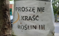 Złodziei odstrasza kara?
