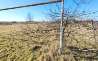 Były boiska, są "pastwiska"