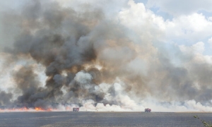 Potężny pożar zboża na pniu na około 50 ha