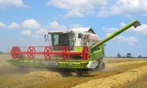 Ruszyły żniwa, ale pogoda je wstrzymuje