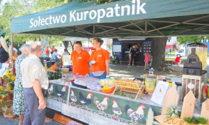 Miód, mydło i powidło