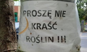 Złodziei odstrasza kara?