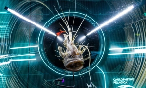 Zanurz się w morskie głębiny w Hydropolis