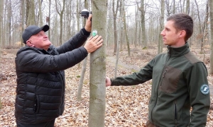 Las pod Gromnikiem obserwowany z kosmosu