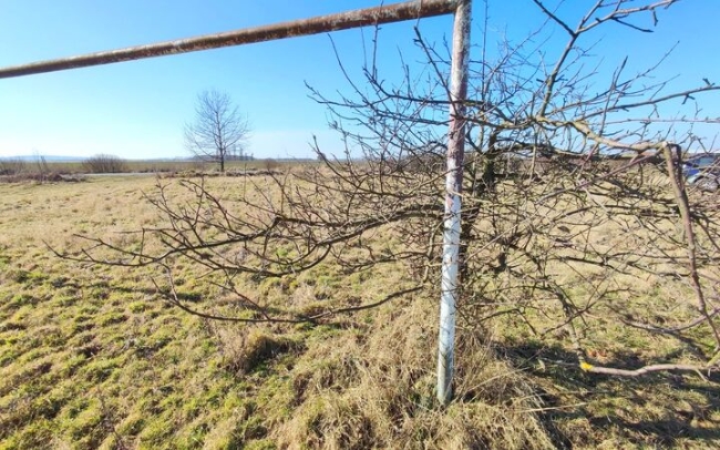 Były boiska, są "pastwiska"