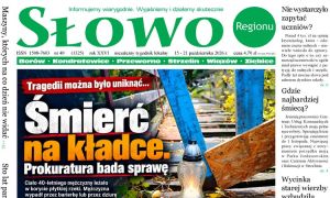 Tragiczna śmierć, wyrok za fałszerstwa i burza wokół wycinki drzewa