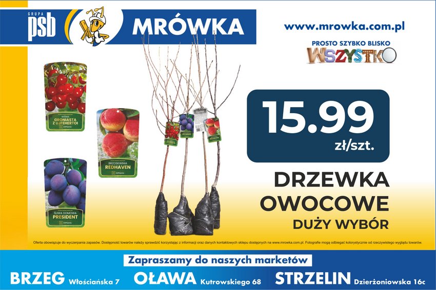 Reklama 1