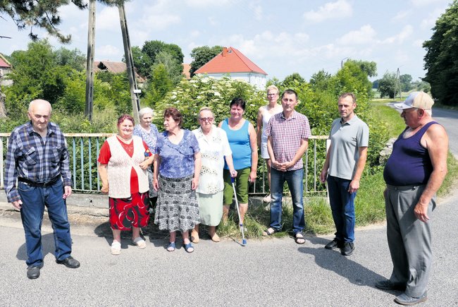 Mieszkańcy Dankowic walczą o wyczyszczenie rowu przy drodze powiatowej. W tle za barierką widoczne trawy i krzewy, które zarastają rów