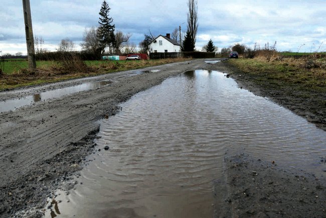 Tak wygląda droga powiatowa, prowadząca do domu państwa Gruszeckich w Zborowicach