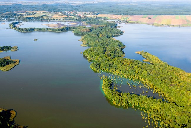 Dolina Baryczy to największy w Polsce rezerwat chroniący ptaki o powierzchni ponad 5 tys. ha. Fot: Stawy Milickie S.A.