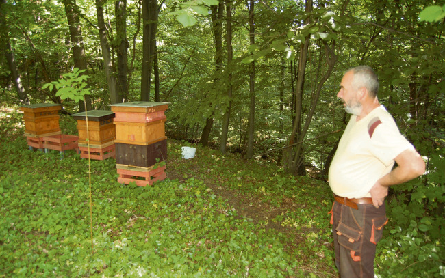 Pszczelarz posiada obecnie dwie pasieki, jedną w Cierpicach, a drugą w Płosie