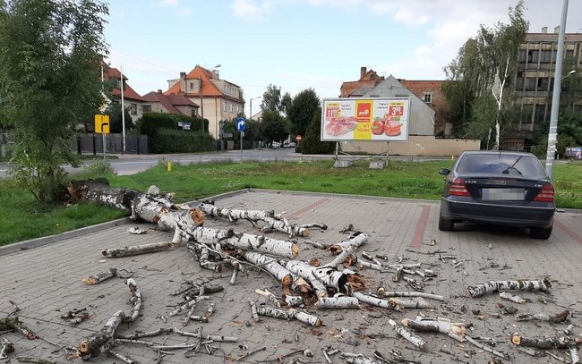 Dziś, 17 września, przed godz. 17 na parking Polo Marketu w Wiązowie runęło drzewo