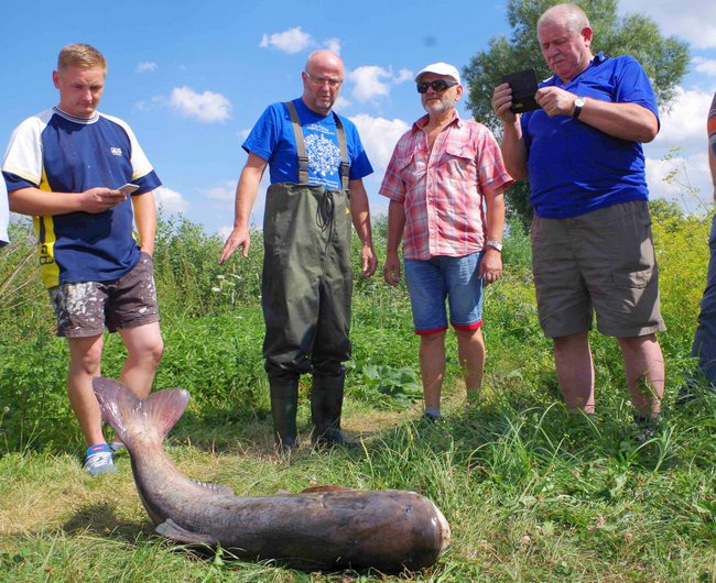 Wędkarze z gminy Kondratowice alarmują, że w stawie jest nawet kilkanaście ton ryb zagrożonych śnięciem (zdj. archiwum)