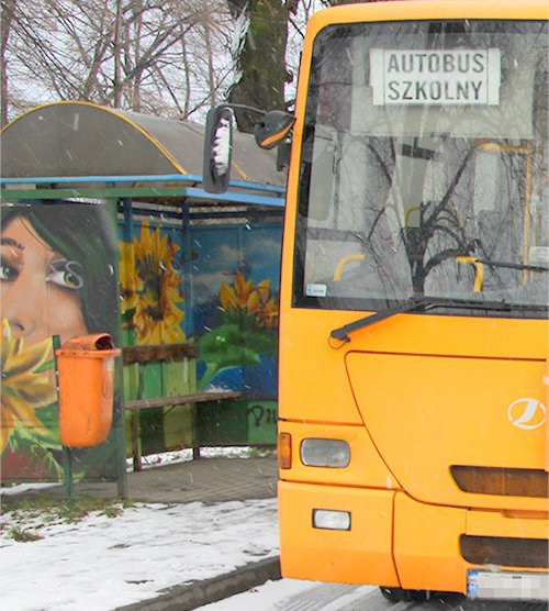 Według kierowców autobusów szkolnych, zimą na terenie powiatu strzelińskiego są trasy, którymi dużo trudniej przejechać