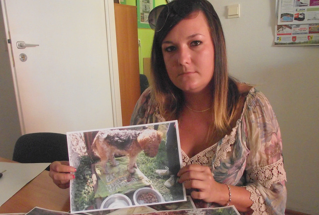 Joanna Waś pokazuje drastyczne zdjęcia, na których widać, w jakim stanie był skatowany pies
